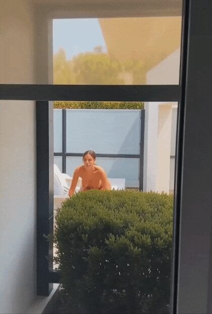 Spying on the neighbourhood pt.2 - #17