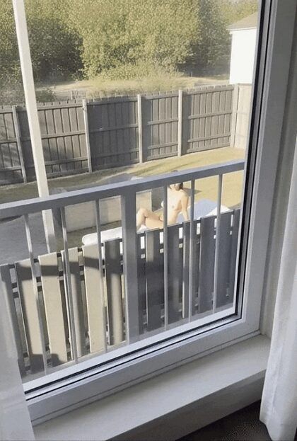 Spying on the neighbourhood pt.2 - #12