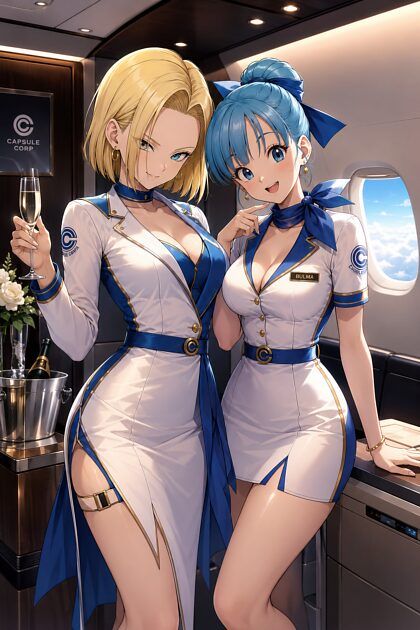 Air Hostess Set - #21