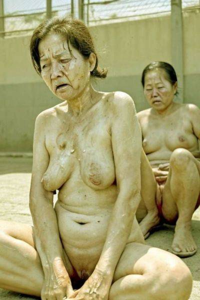 AI画像：某独裁国家の刑務所 - erome.com on pornintellect.com